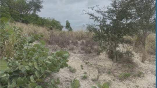 HK Investment parcel provides habitat on Marco Island