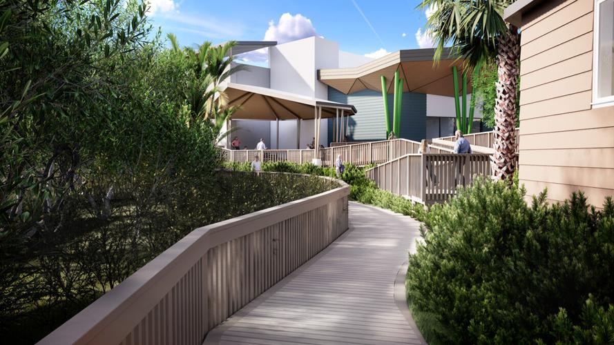 Boardwalk to wind through sensitive habitats