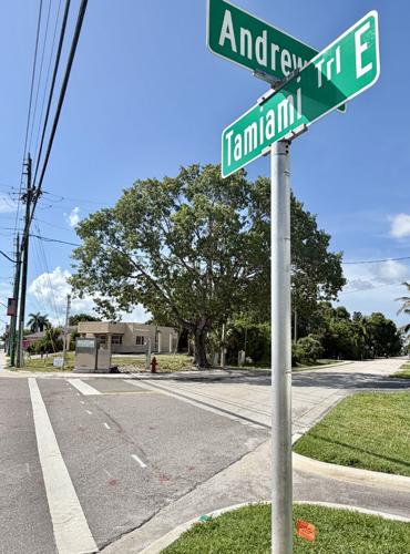 Andrew Drive site faces redevelopment proposal