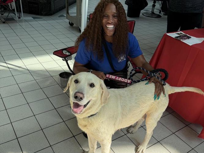 Volunteers highlight shelter's role in pet adoptions