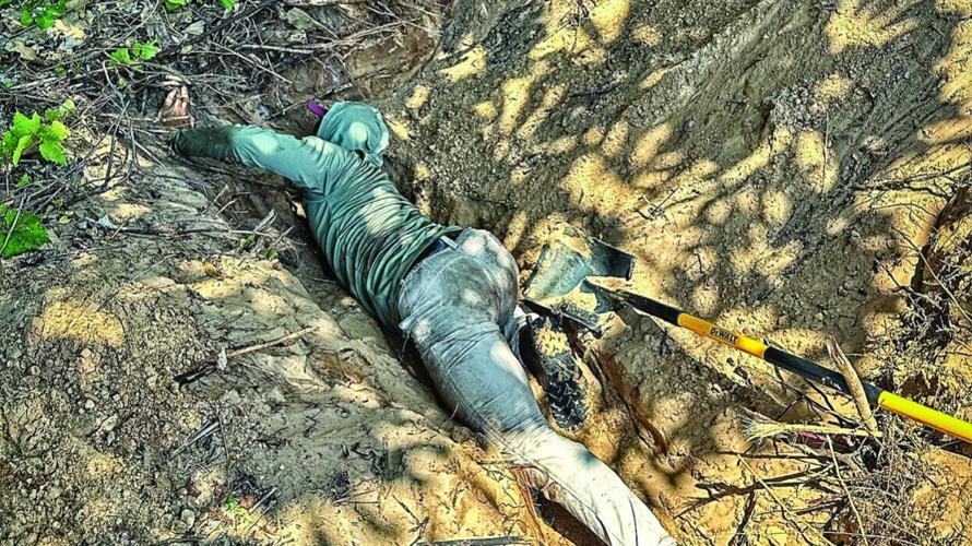 Gopher Tortoise Relocations: Vital Business in Southwest FL | Inside ...