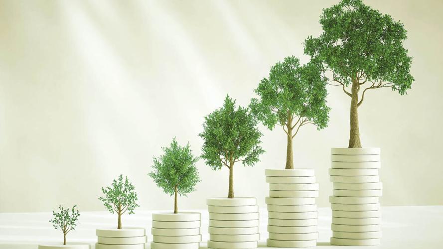 Investment provides capital for economic growth