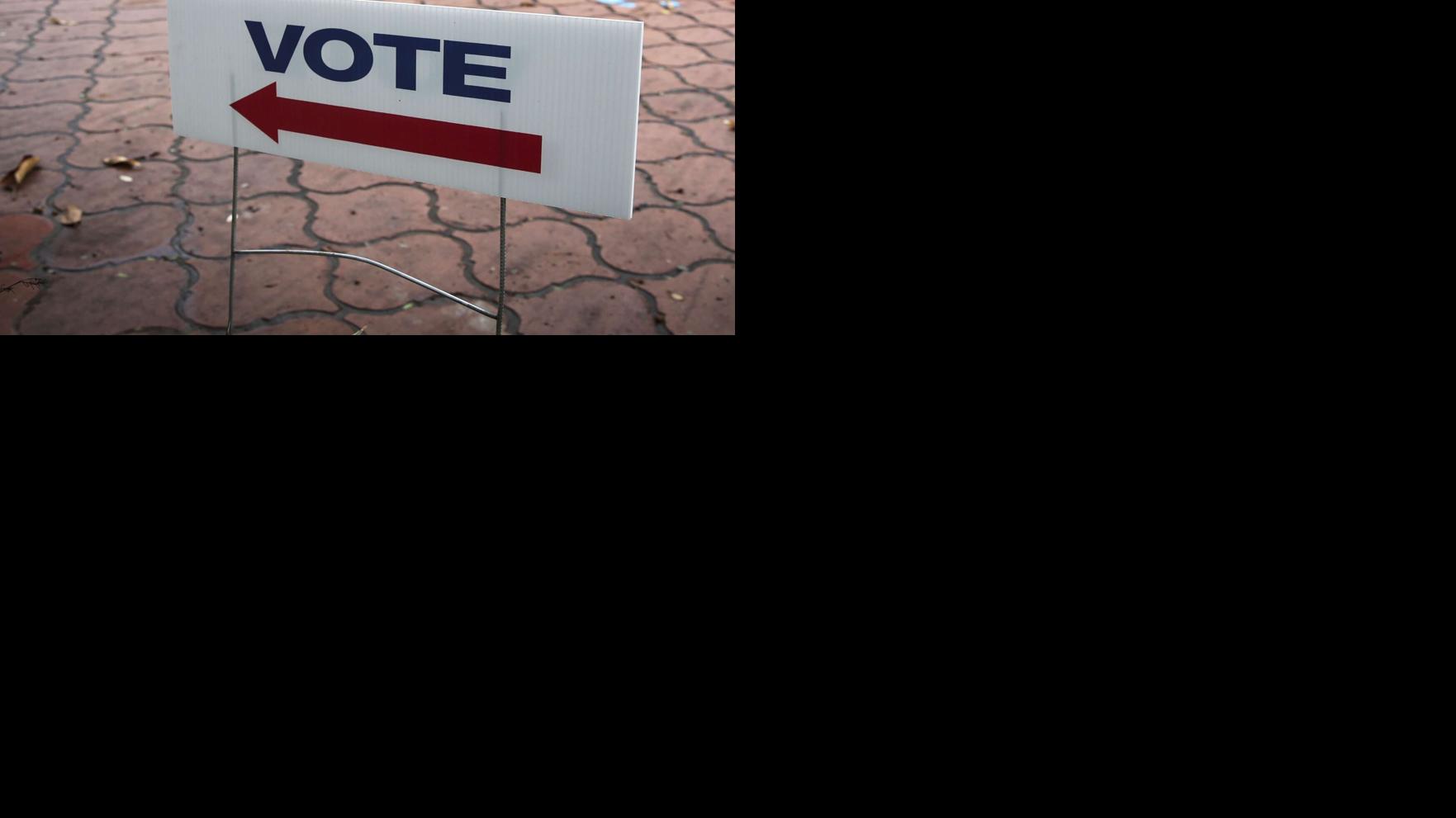 Voting Sign