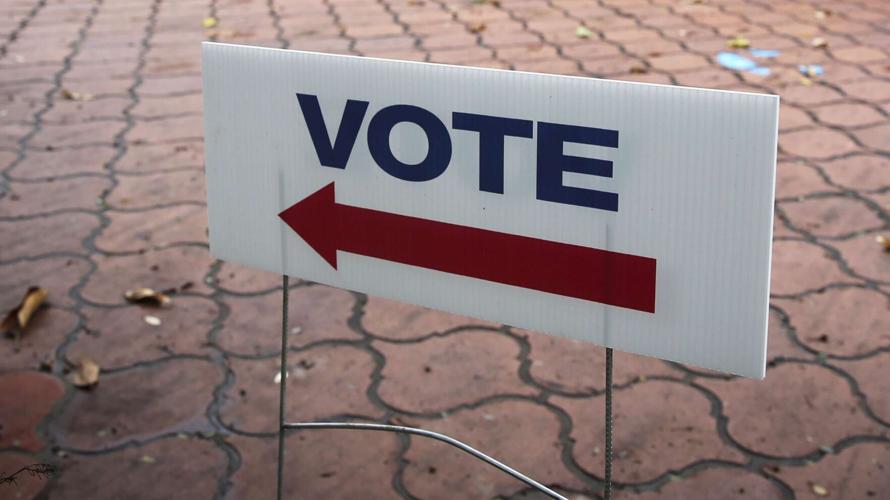 Voting Sign
