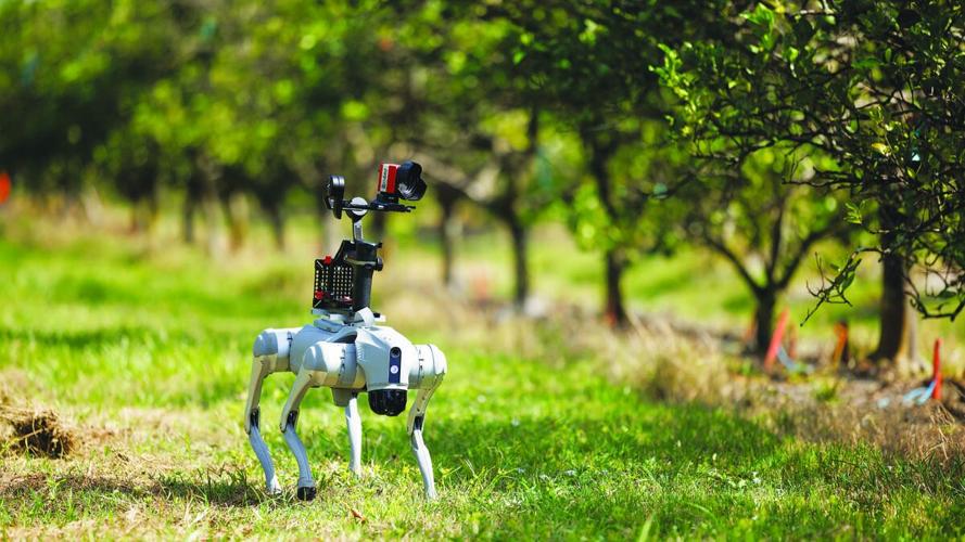 Robotics could shape the future of Florida farming