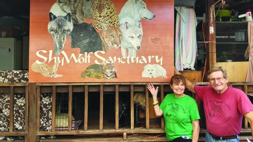 Shy Wolf Sanctuary founders settle eviction lawsuit