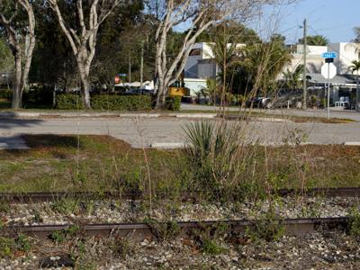 Seminole Roadway