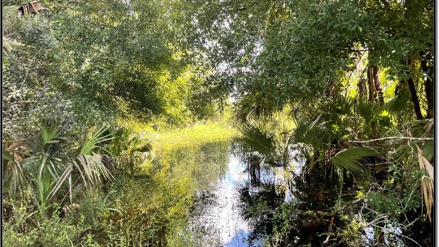 Wetlands add to Wildflowerz Ranch conservation value