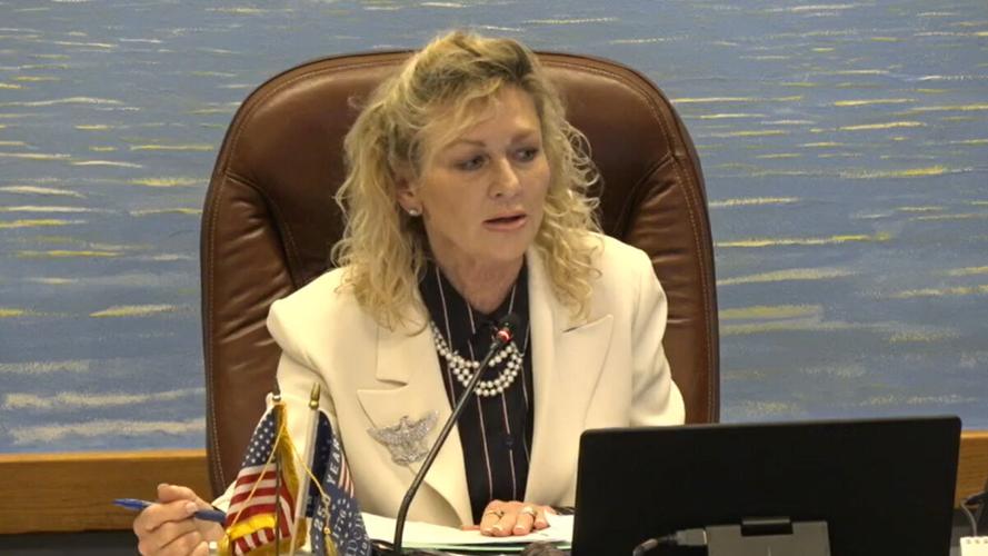 Mayor Teresa Heitmann questions plan strength