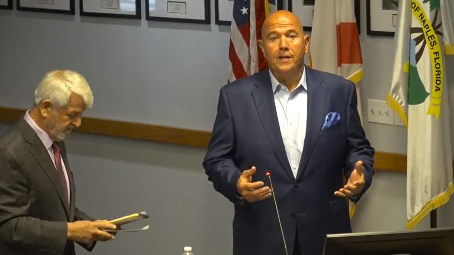 Developer Harry Zea presents Viceroy proposal