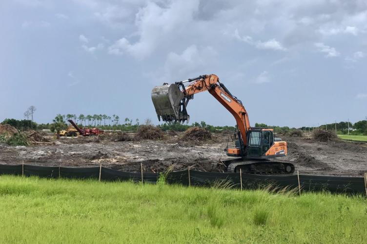 Las Palmas clearing 1