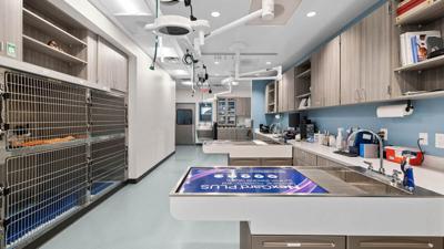 New Dogwood Animal Clinic opens in Port Charlotte