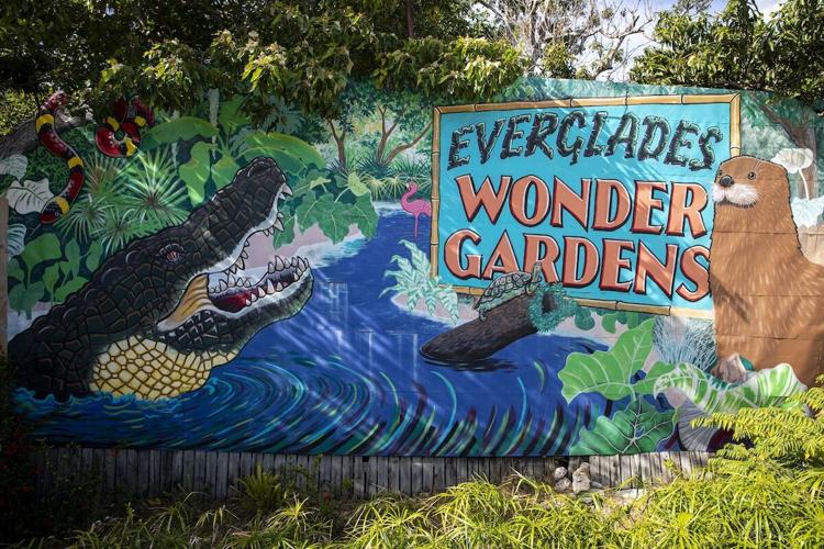 Wonder Gardens