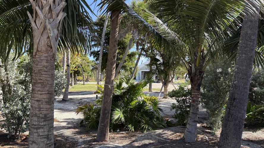 Bayside parcel includes artist residency home