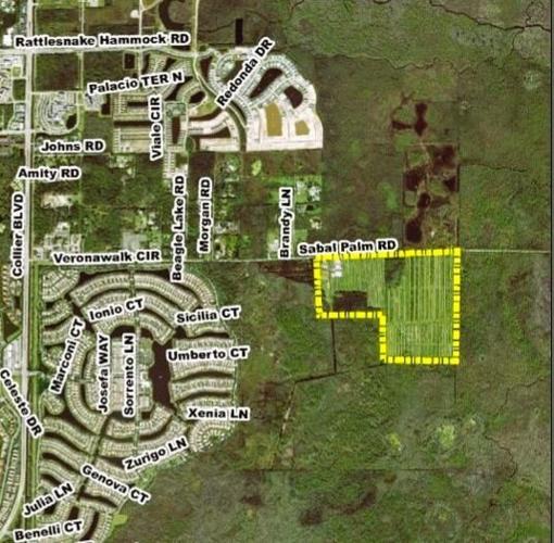 South Naples Citrus land map.jpg