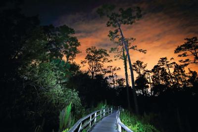Corkscrew Sunset Walk_David Korte
