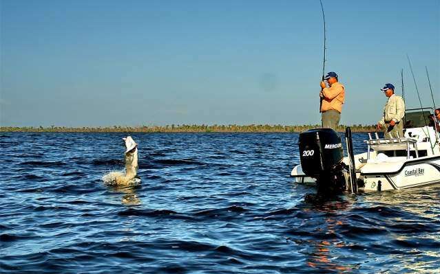 Fishing_TarponTournaments_Tarpon_Scaled_782e0f8b-553c-4d58-84ec-83134dd28936