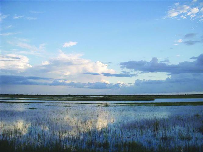 Big Cypress 3
