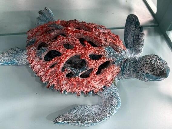 Turtle-themed decor featured at Beach Bums shop