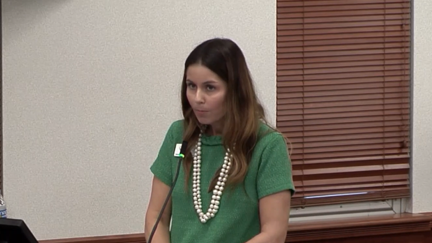 Stephanie Dixon, of the Greater Naples Chamber of Commerce, ask for approval to expand affordable workforce housing.PNG