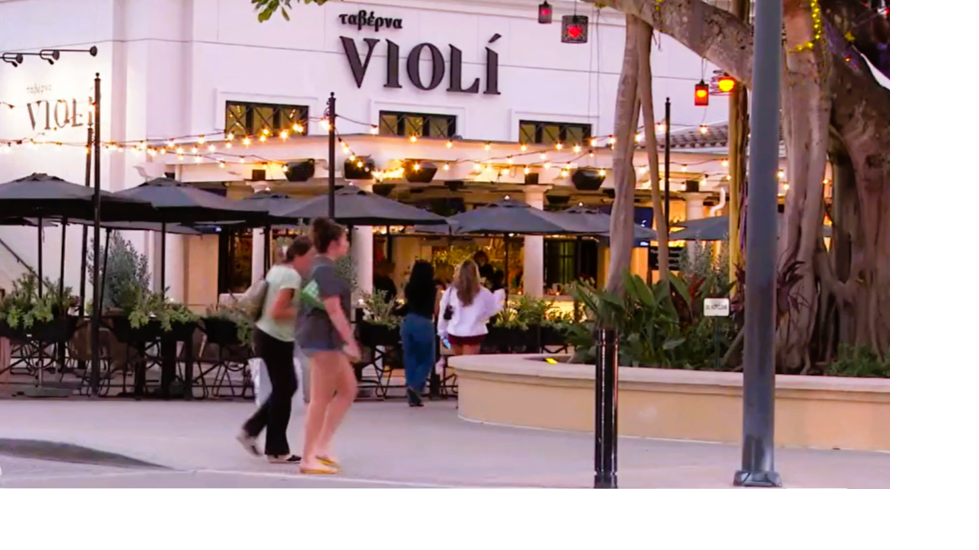 Violi