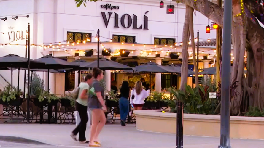 Violi