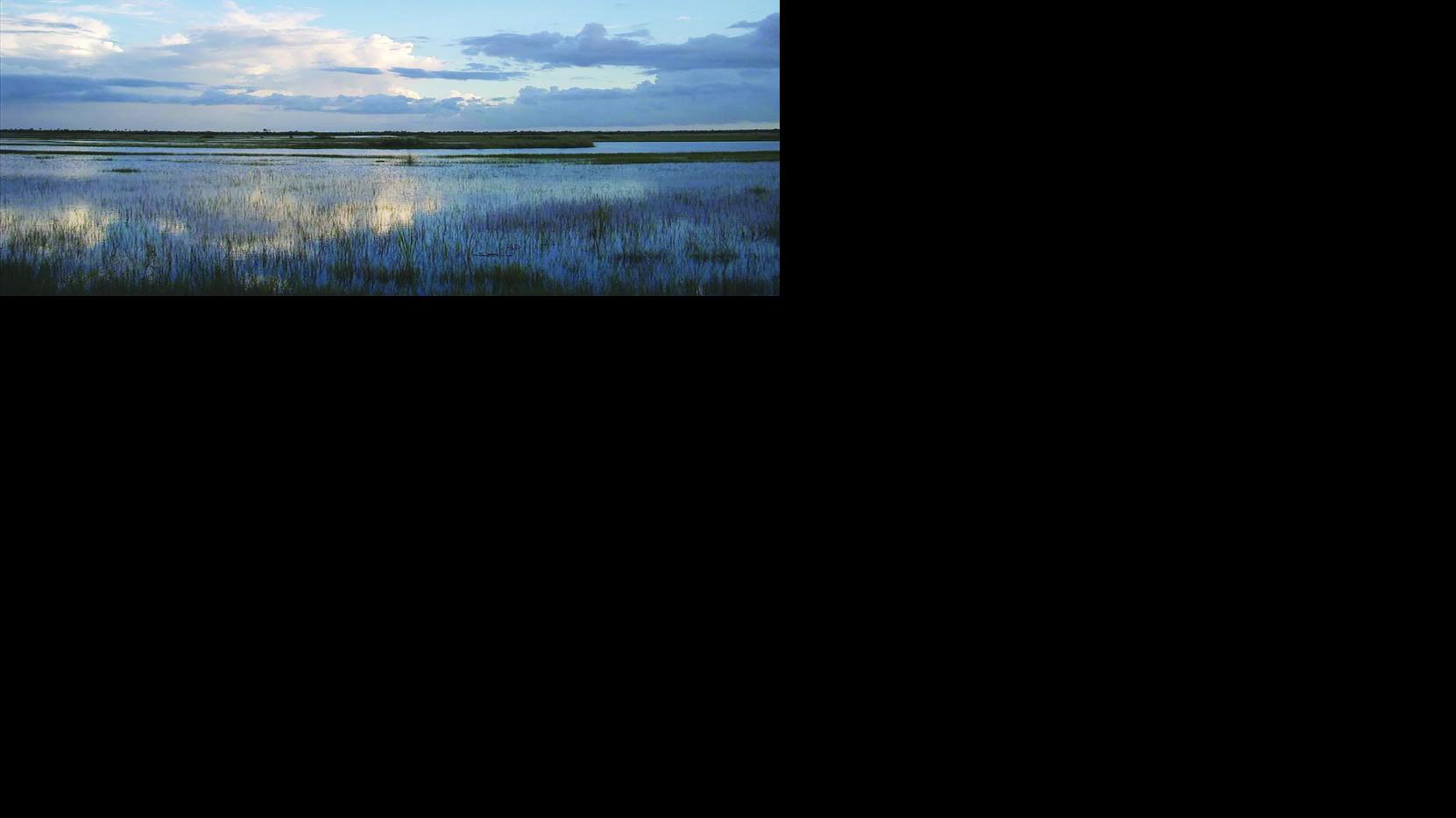 Big Cypress landscape highlights Florida conservation lands