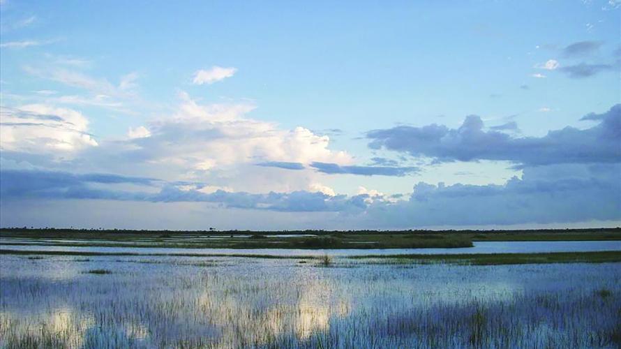 Big Cypress landscape highlights Florida conservation lands