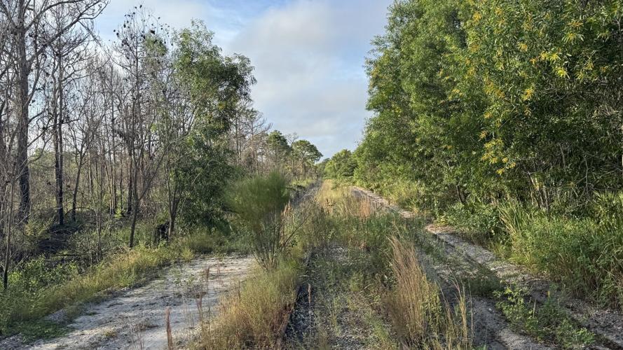 Bonita Estero Rail Trail Collier County portion.jpeg