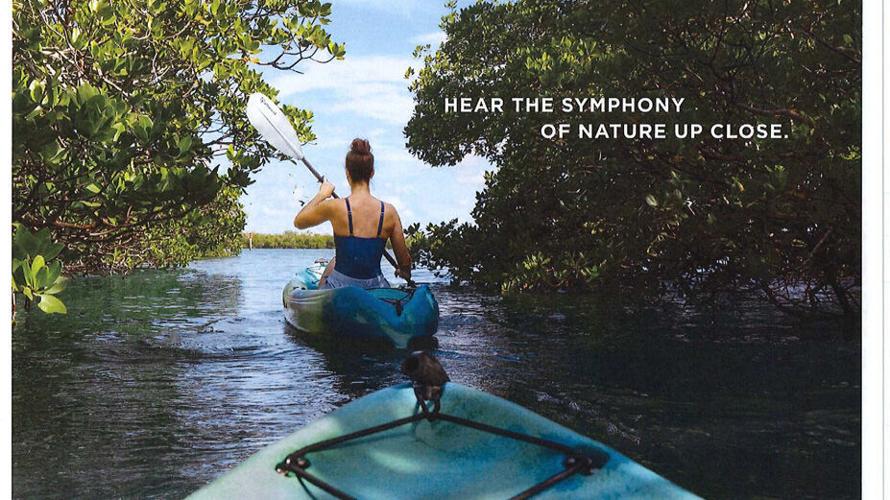 Paradise Coast campaign highlights nature experiences