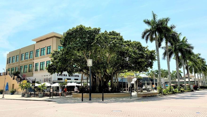 Mercato Piazza 2
