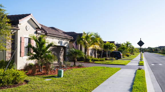 Corkscrew Grove plan shows residential streetscape