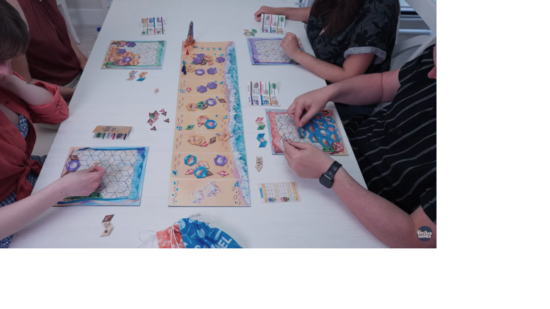 New board game Sanibel by Avalon Hill captures shelling Tourism