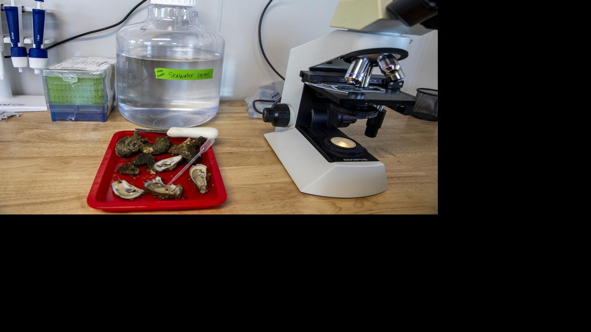 Marine research tools at FGCU’s Vester Field Station