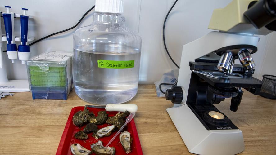 Marine research tools at FGCU’s Vester Field Station