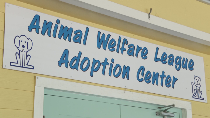 Charlotte shelter warns funding shortfall threatens future