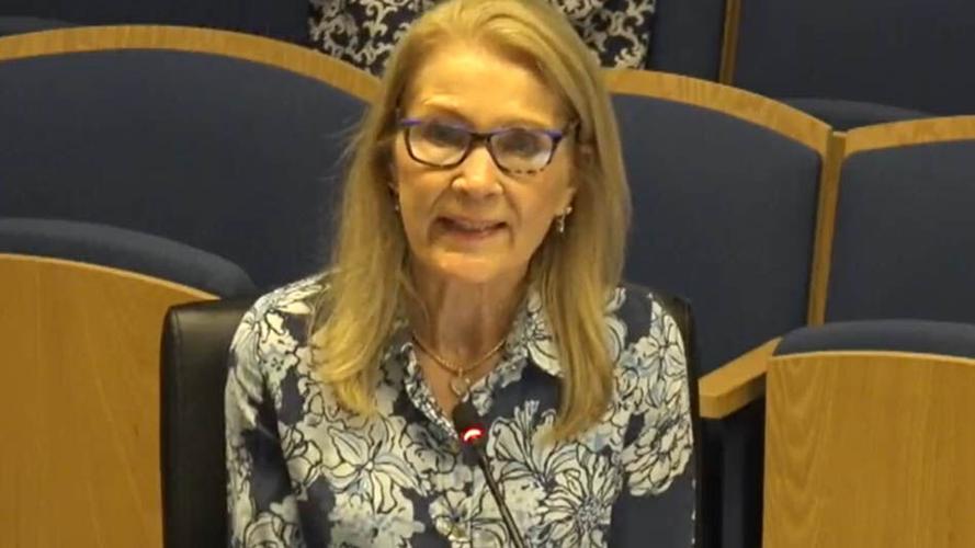 Naples city clerk outlines special election preparations
