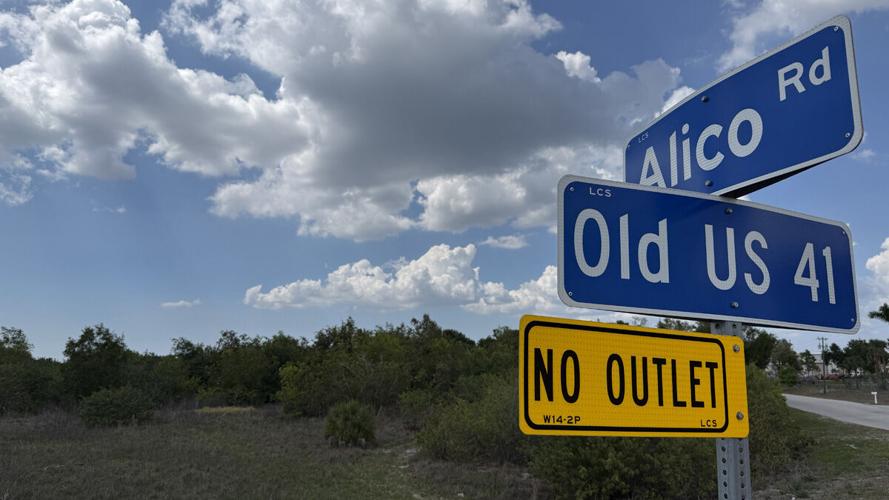 Development site near Alico Road intersection