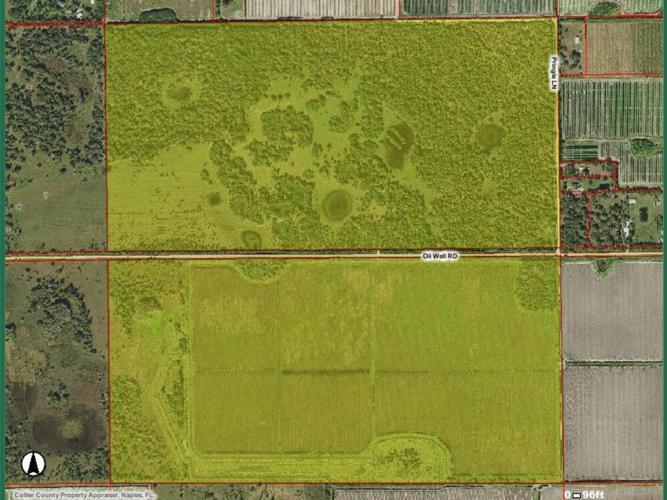 Collier moves to preserve 625-acre Immokalee ranch