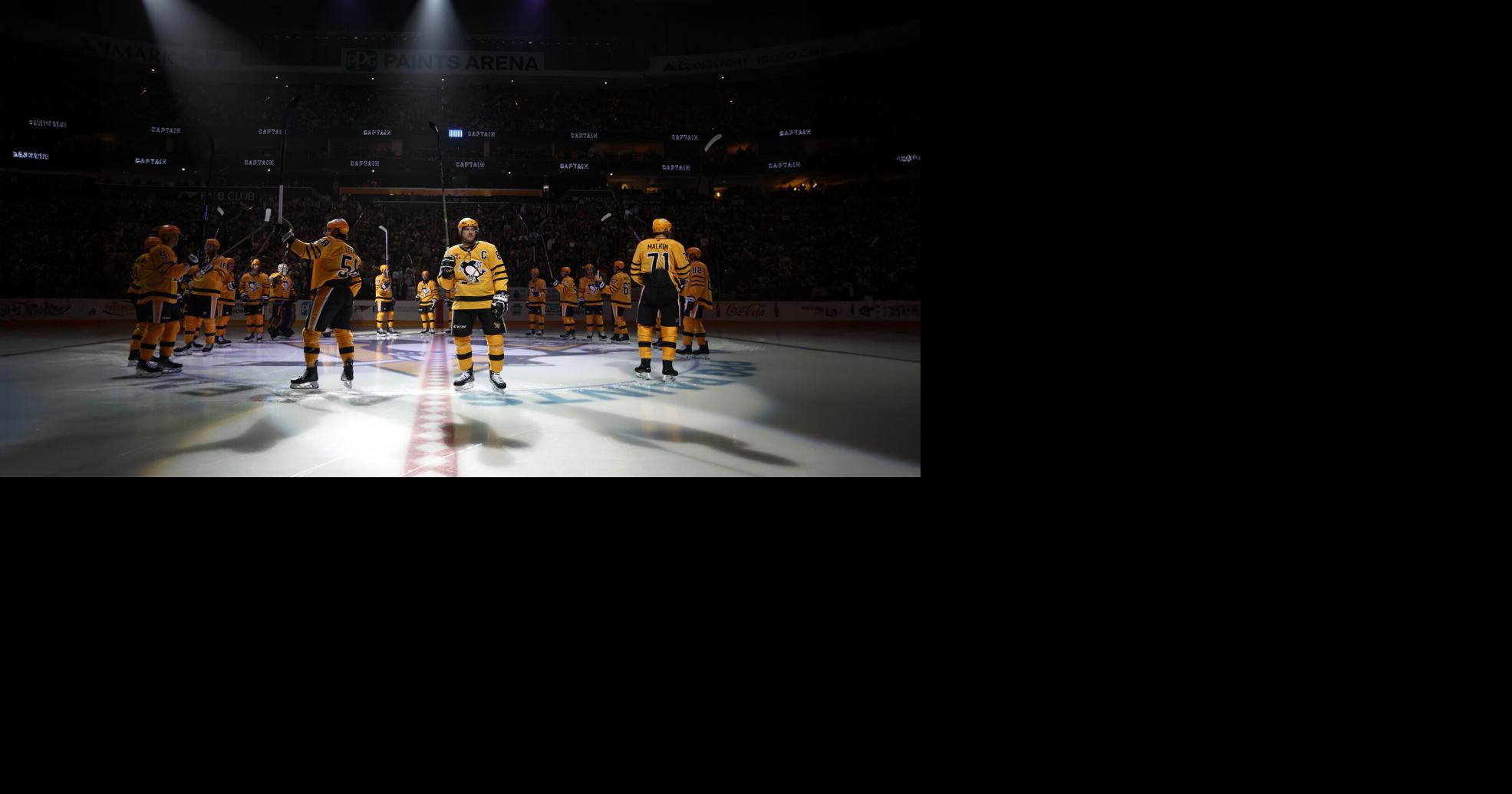 Naples-based Hoffmann Family of Companies buys Pittsburgh Penguins hockey team
