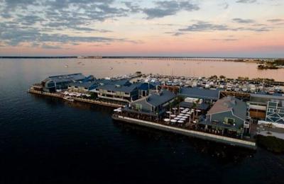 Fishville SVN photo.jpg