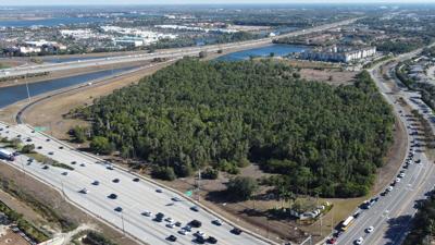 Aerial view of Alico Road development site