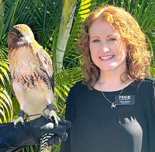 Peace River Wildlife Center CEO with resident hawk
