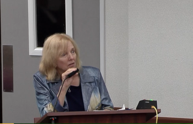 Verona Walk resident Chris Briggs, who started a Change.org petition, urges denial.PNG