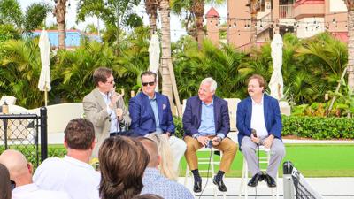 Experts highlight redevelopment potential on Davis