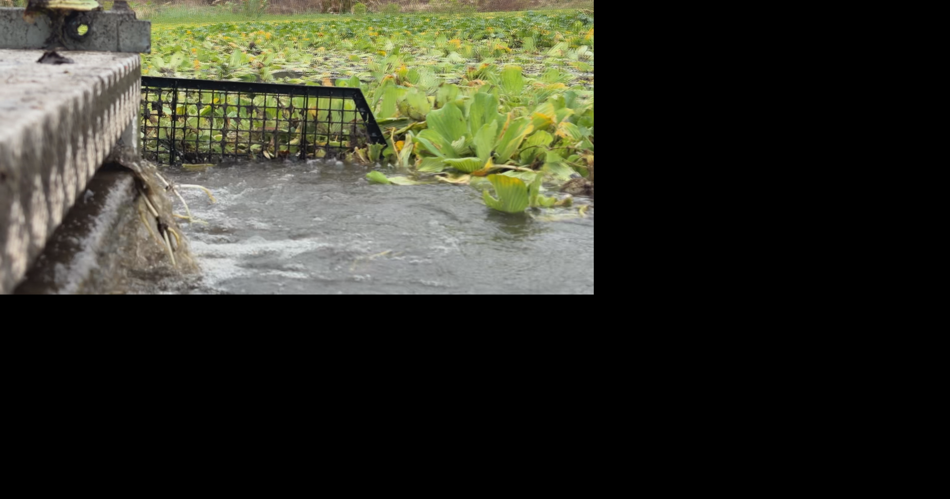 Fort Myers invests millions in Billy Creek cleanup efforts