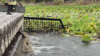 Fort Myers crews restore Billy Creek to improve water quality