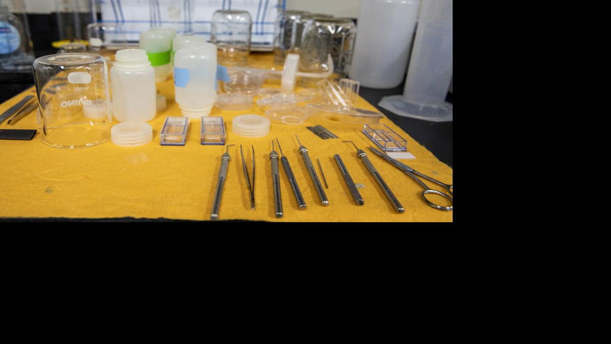 Laboratory instruments at FGCU’s Vester Field Station