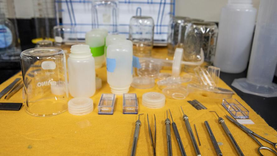 Laboratory instruments at FGCU’s Vester Field Station