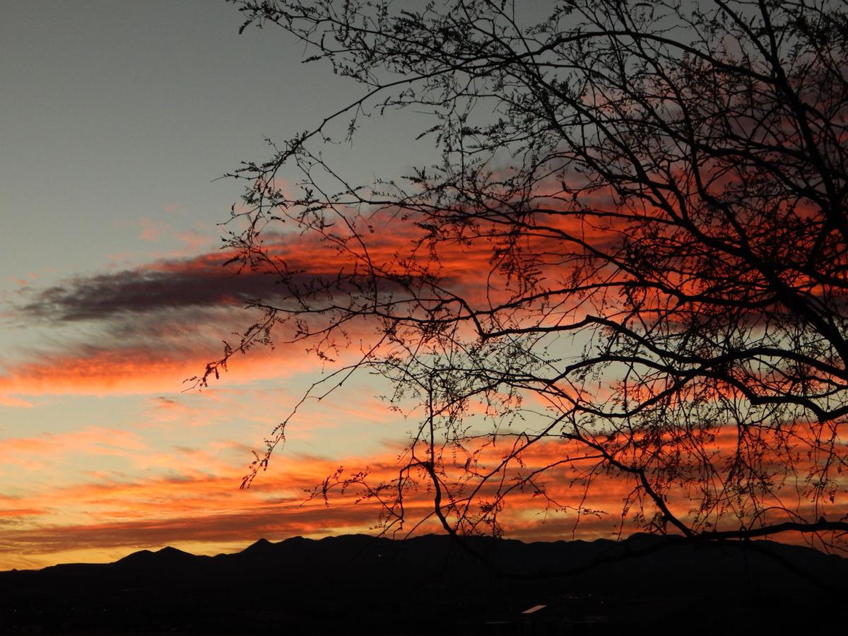 Sunset with trees